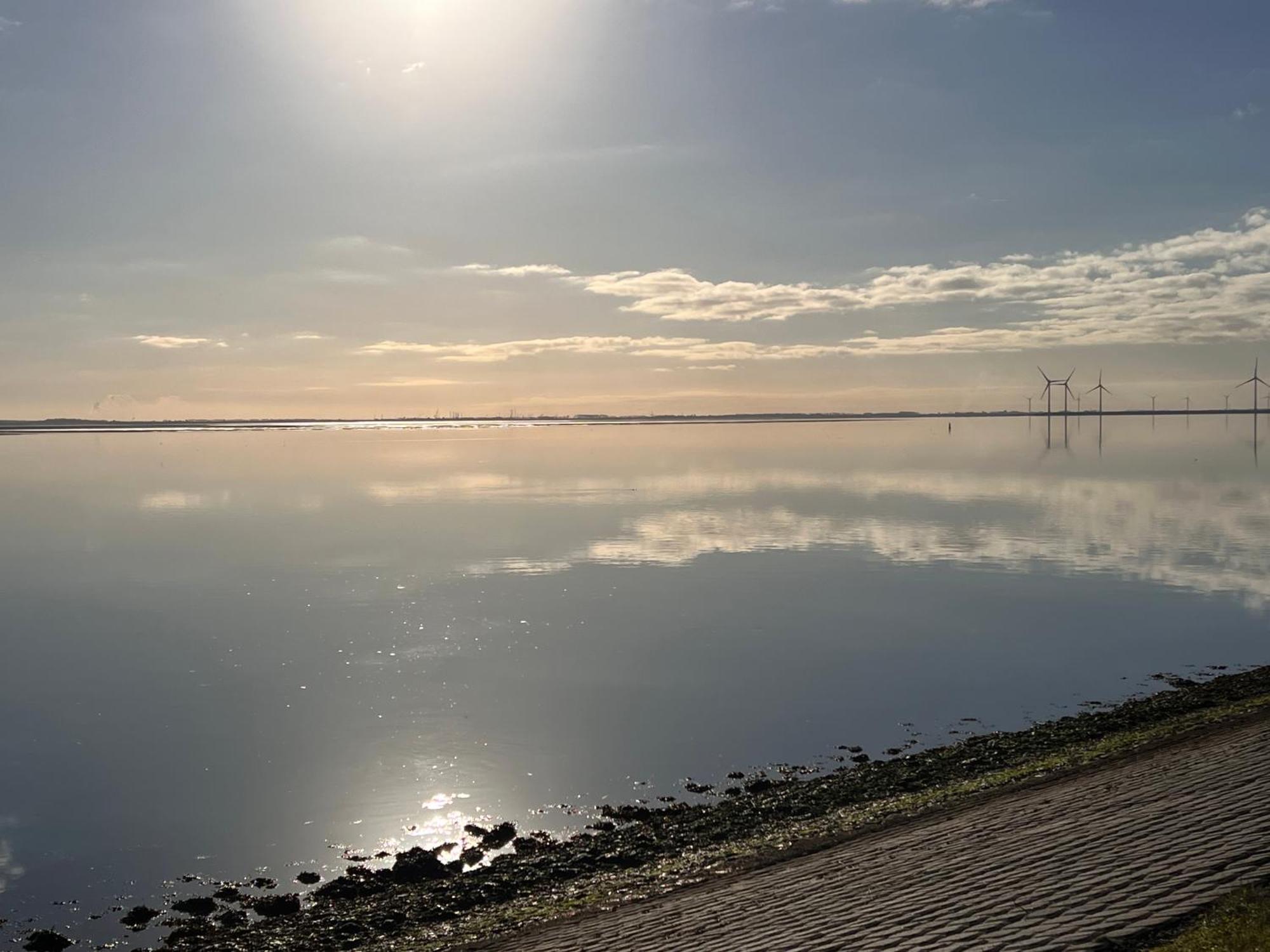 Genieten Aan De Zeeuwse Kust Bed & Breakfast Burgh-Haamstede Luaran gambar